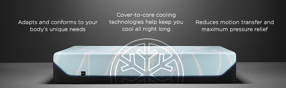 Tempure-Pedic Technology Tempure-Pedic Technology